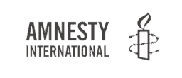 Assembly Voting - Amnesty logo