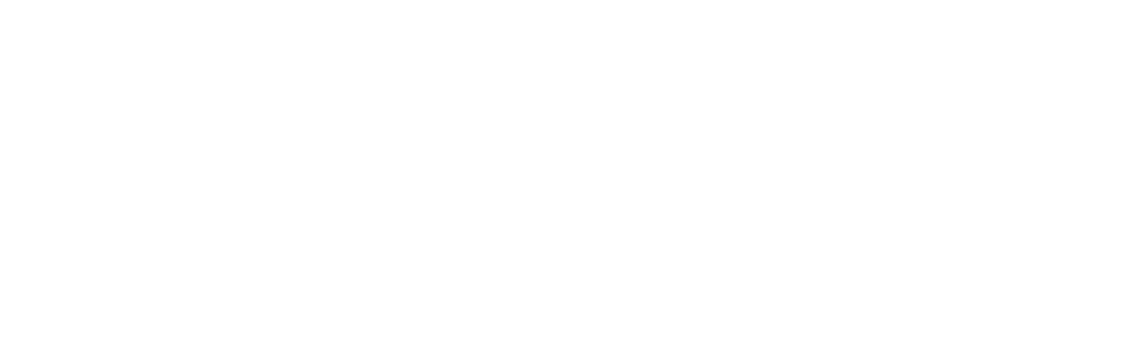 Assembly Voting-The United Nations logo