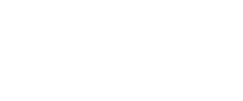 Assembly Voting X - Online Election System – Assembly Voting kirkmenisteriet reverse – Assembly Voting
